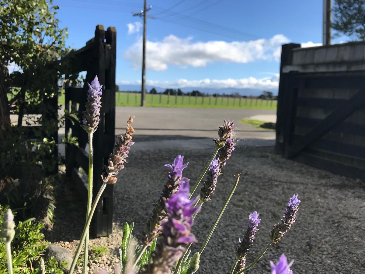 Lavender53 Villa Martinborough Ngoại thất bức ảnh